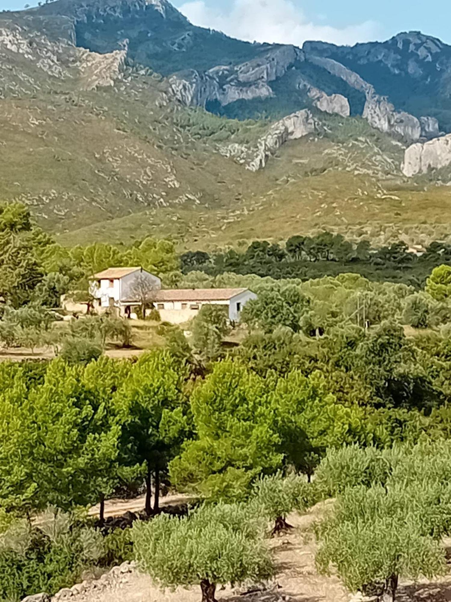Casa Solans - Casa Rural Rasquera Exteriör bild